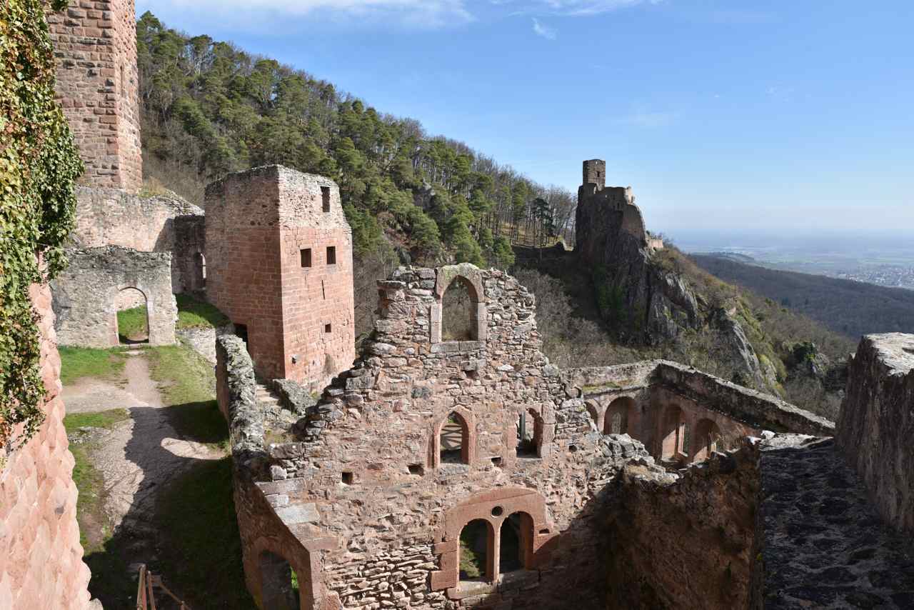 Château de Saint-Ulrich, Ribeauville